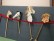 4 Steckenpferde sind an der Wand befestigt