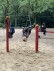 Zwei Kinder sind am Reck und auf der Wippe des Spielplatzes am Spielen.