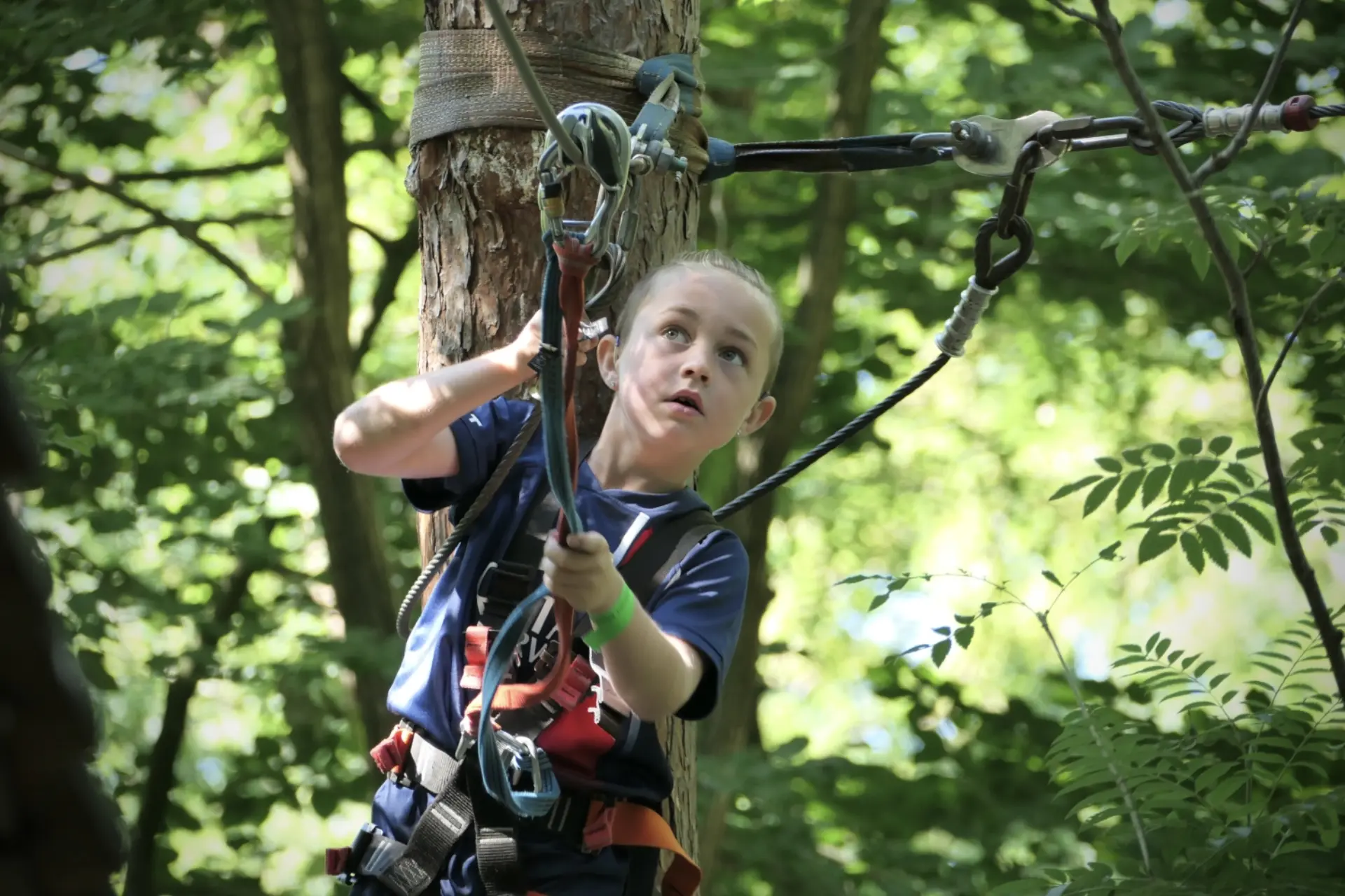Kind beim Klettern im Hochseilgarten gesichert an einer Vorrichtung