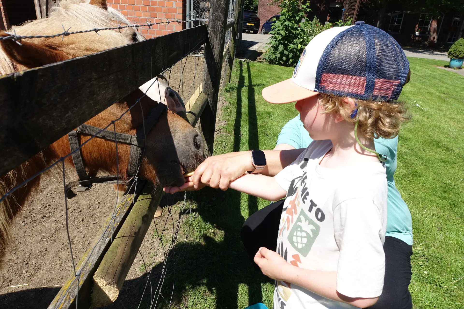Ein Kind füttert ein Pony durch den Zaun, eine Lehrerin hält seine flache Hand mit