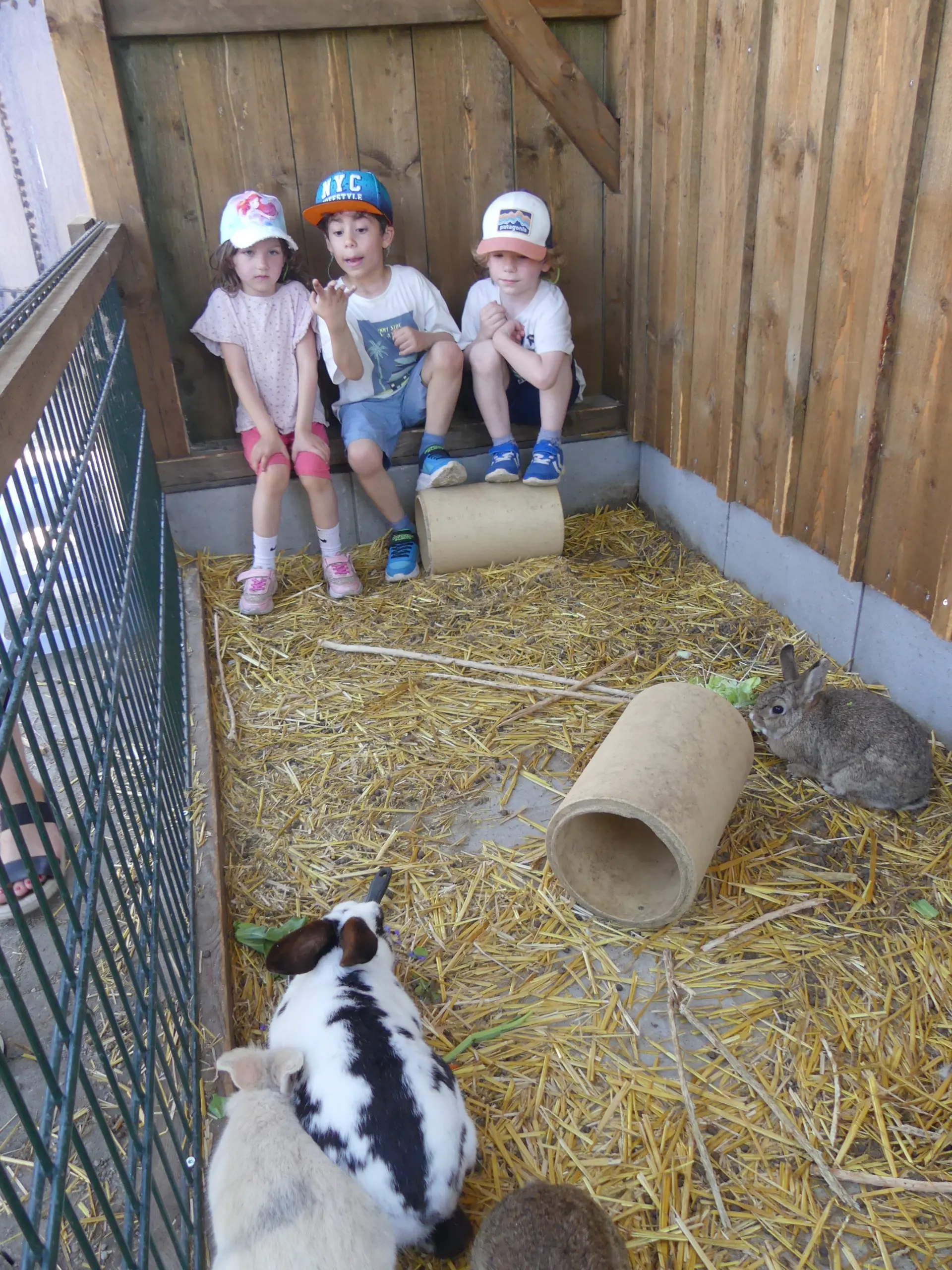 Kinder sitzen in einem Hasenstall und beobachten die Tiere