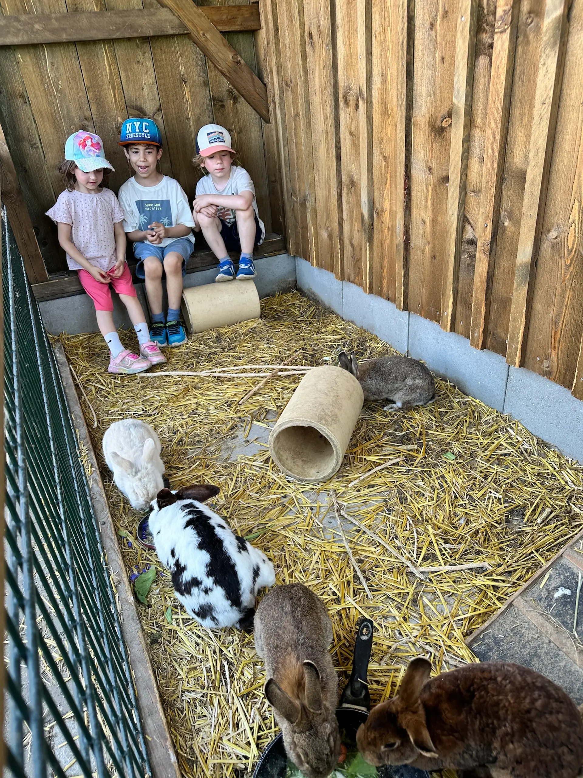 3 Kinder sitzen in einem Hasenstall und schauen den Hasen zu, wie sie teilweise fressen