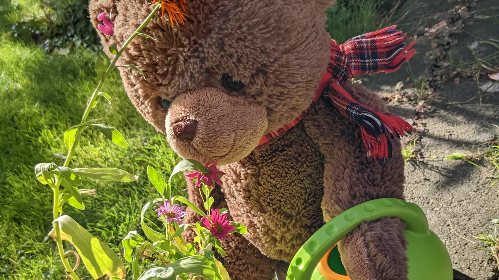 Bär Bummi, das Kuscheltier der Frühförderung, hält eine kleine grüne Gießkanne in der Tatze und gießt eine Blume