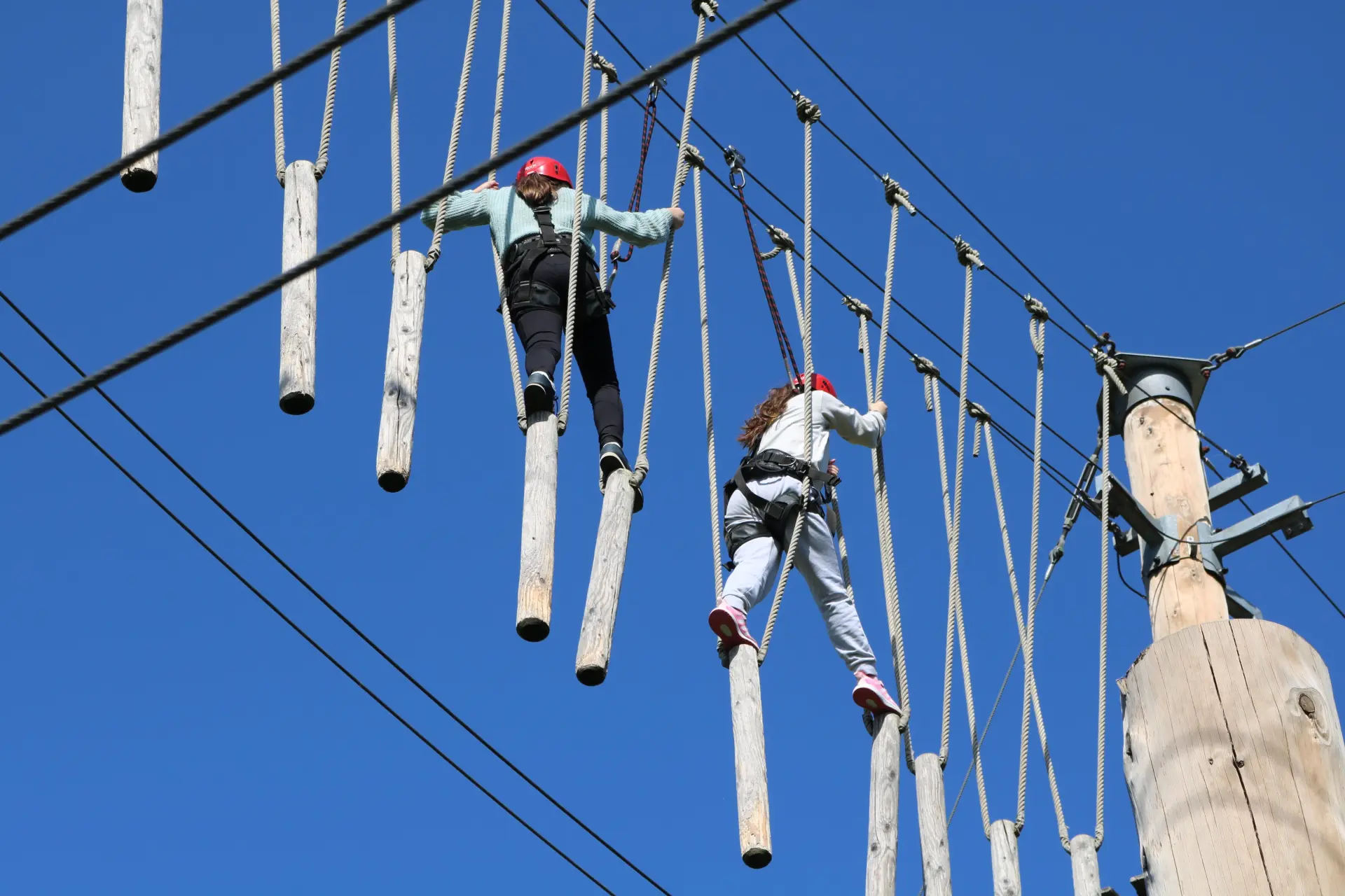 Schulfahrt: Kinder im Hochseilgarten